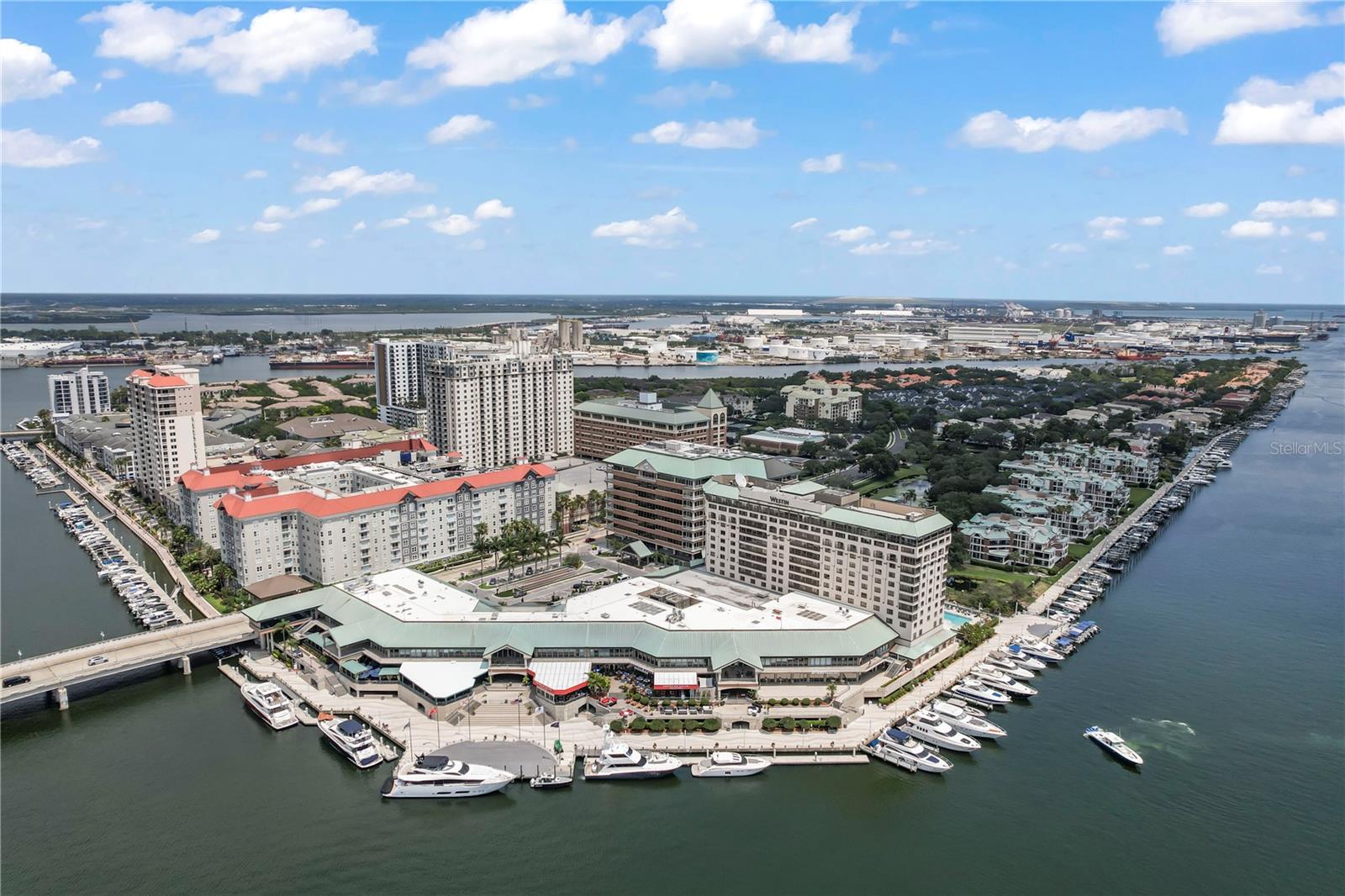 501 KNIGHTS RUN AVE #1223, TAMPA, FL, 33602