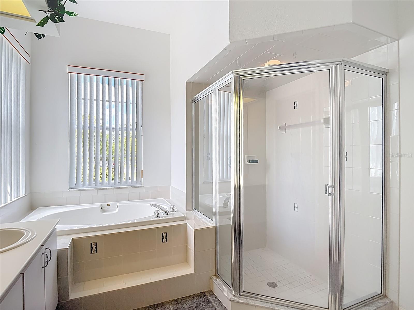 8110 NIGHTWALKER RD, WEEKI WACHEE, FL, 34613