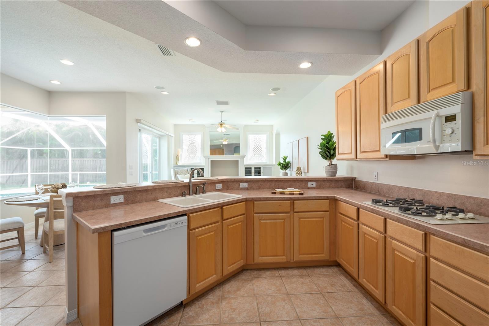 10506 BRENTFORD DR, TAMPA, FL, 33626