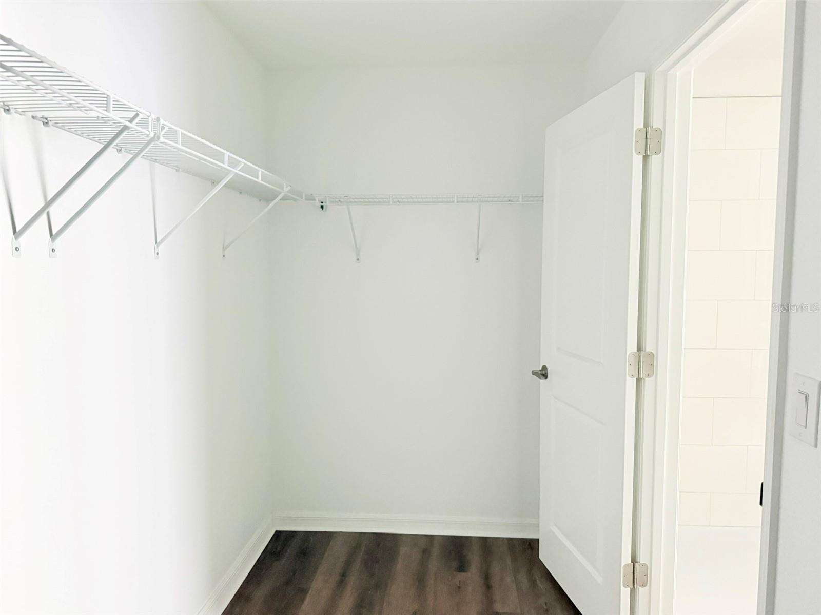 11737 RADIANT SHORE LOOP, SAN ANTONIO, FL, 33576