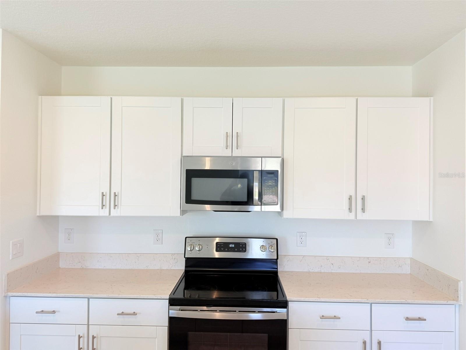 11737 RADIANT SHORE LOOP, SAN ANTONIO, FL, 33576