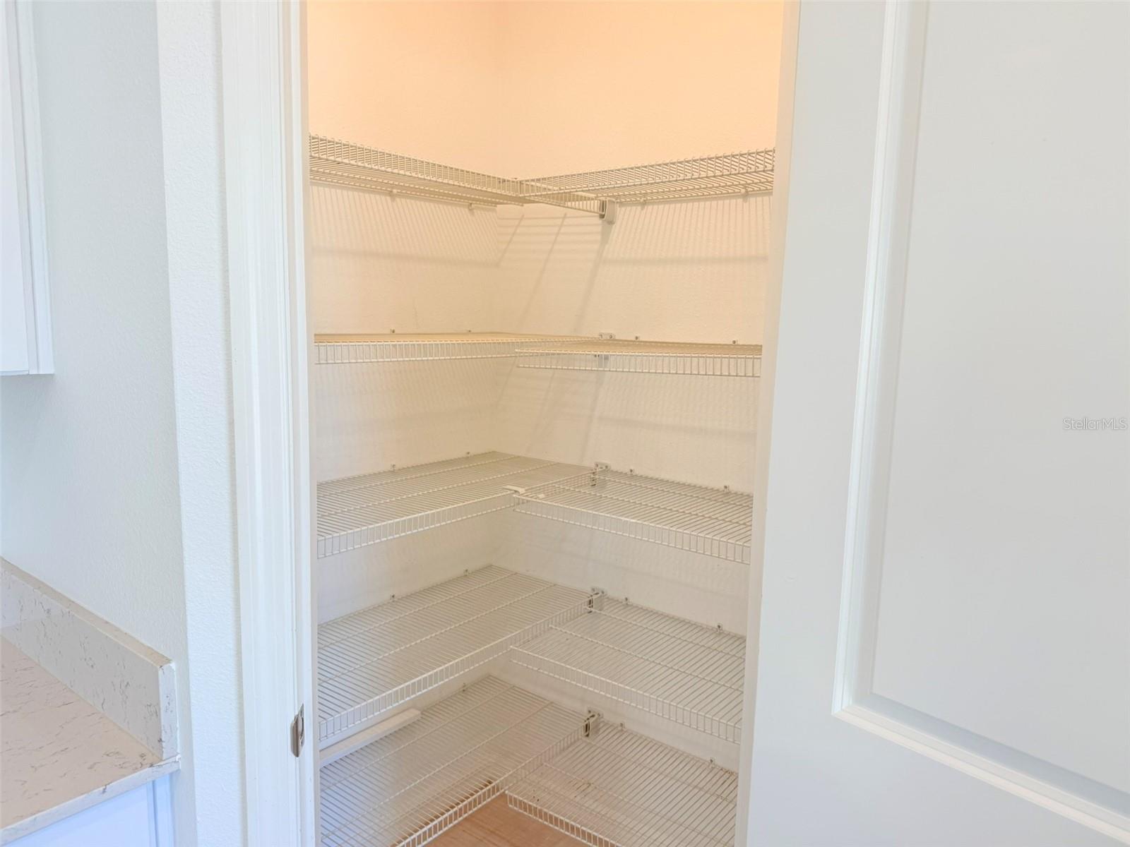 11737 RADIANT SHORE LOOP, SAN ANTONIO, FL, 33576