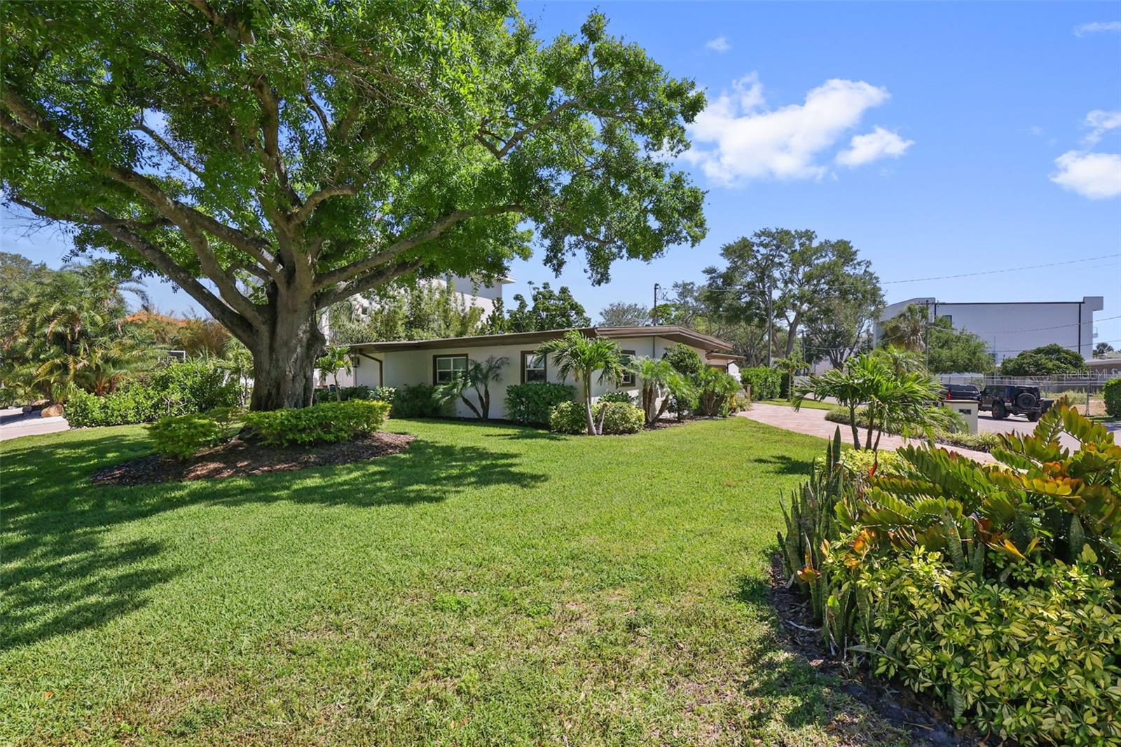 25 SANDPIPER RD, TAMPA, FL, 33609