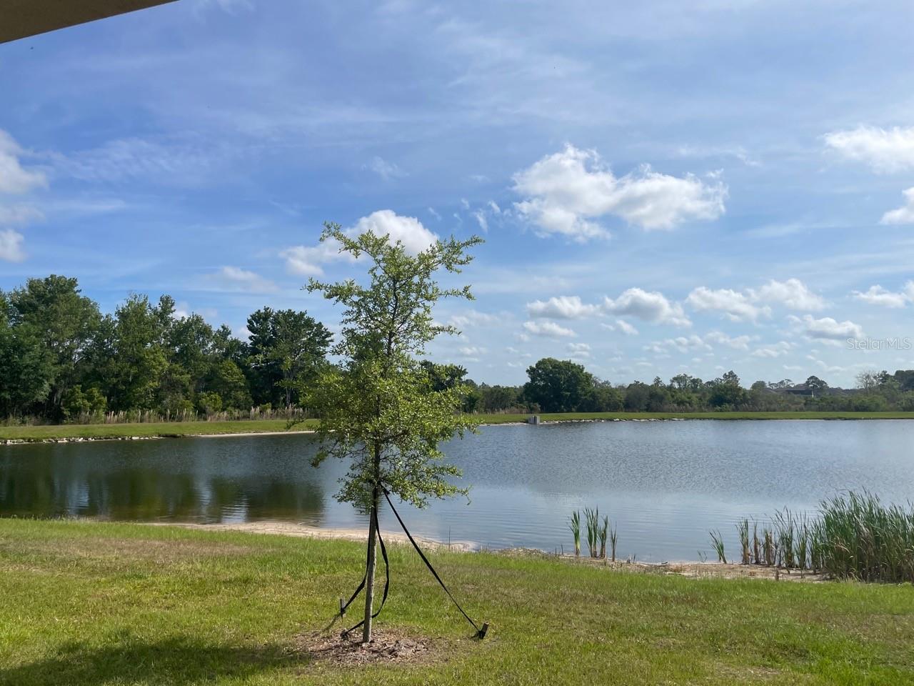 9766 CAMPANULA COURT, LAND O LAKES, FL, 34637