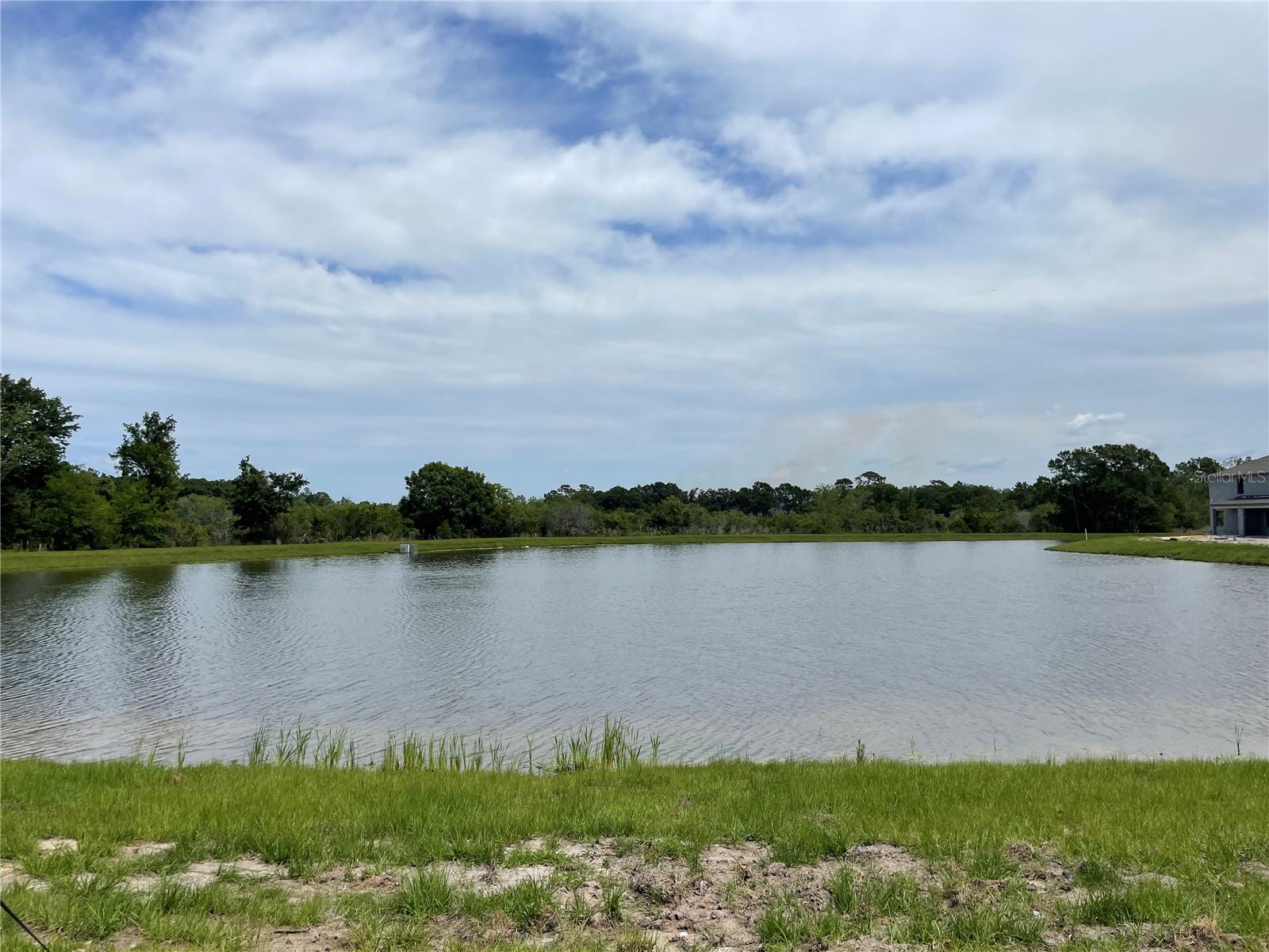 9766 CAMPANULA COURT, LAND O LAKES, FL, 34637