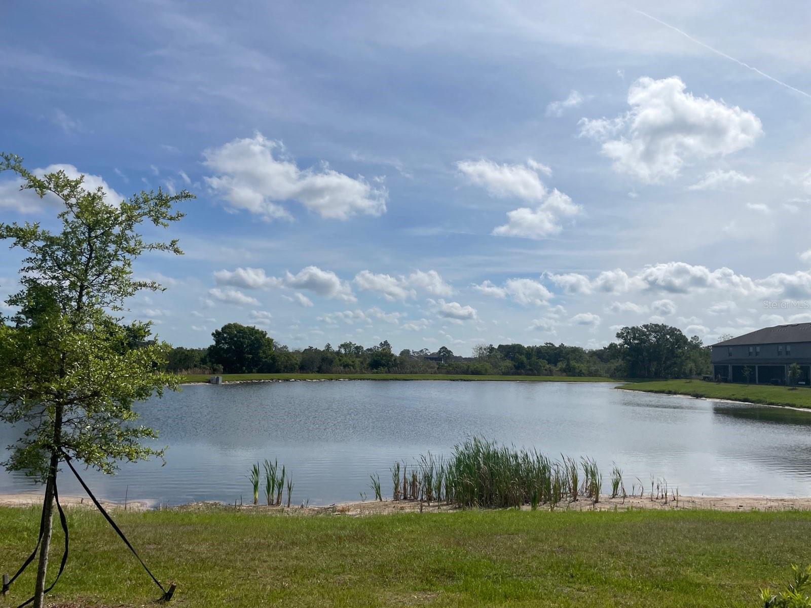 9766 CAMPANULA COURT, LAND O LAKES, FL, 34637