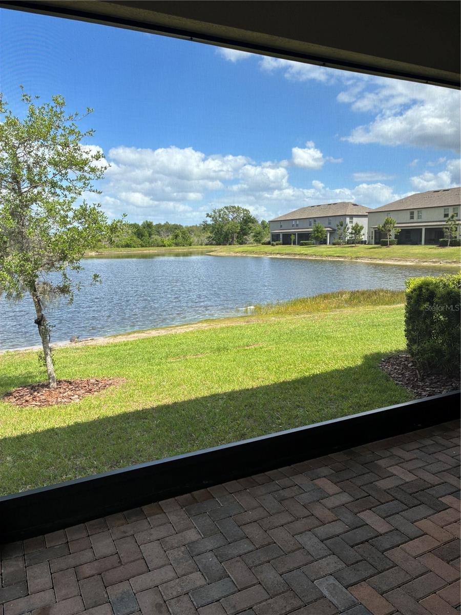 9766 CAMPANULA COURT, LAND O LAKES, FL, 34637