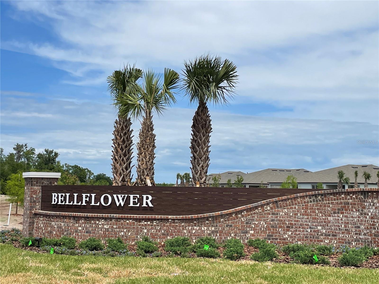 9766 CAMPANULA COURT, LAND O LAKES, FL, 34637