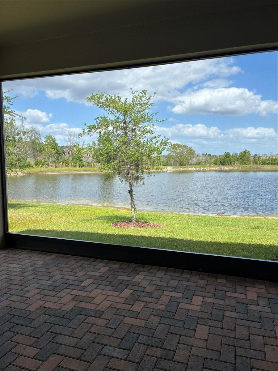 9766 CAMPANULA COURT, LAND O LAKES, FL, 34637