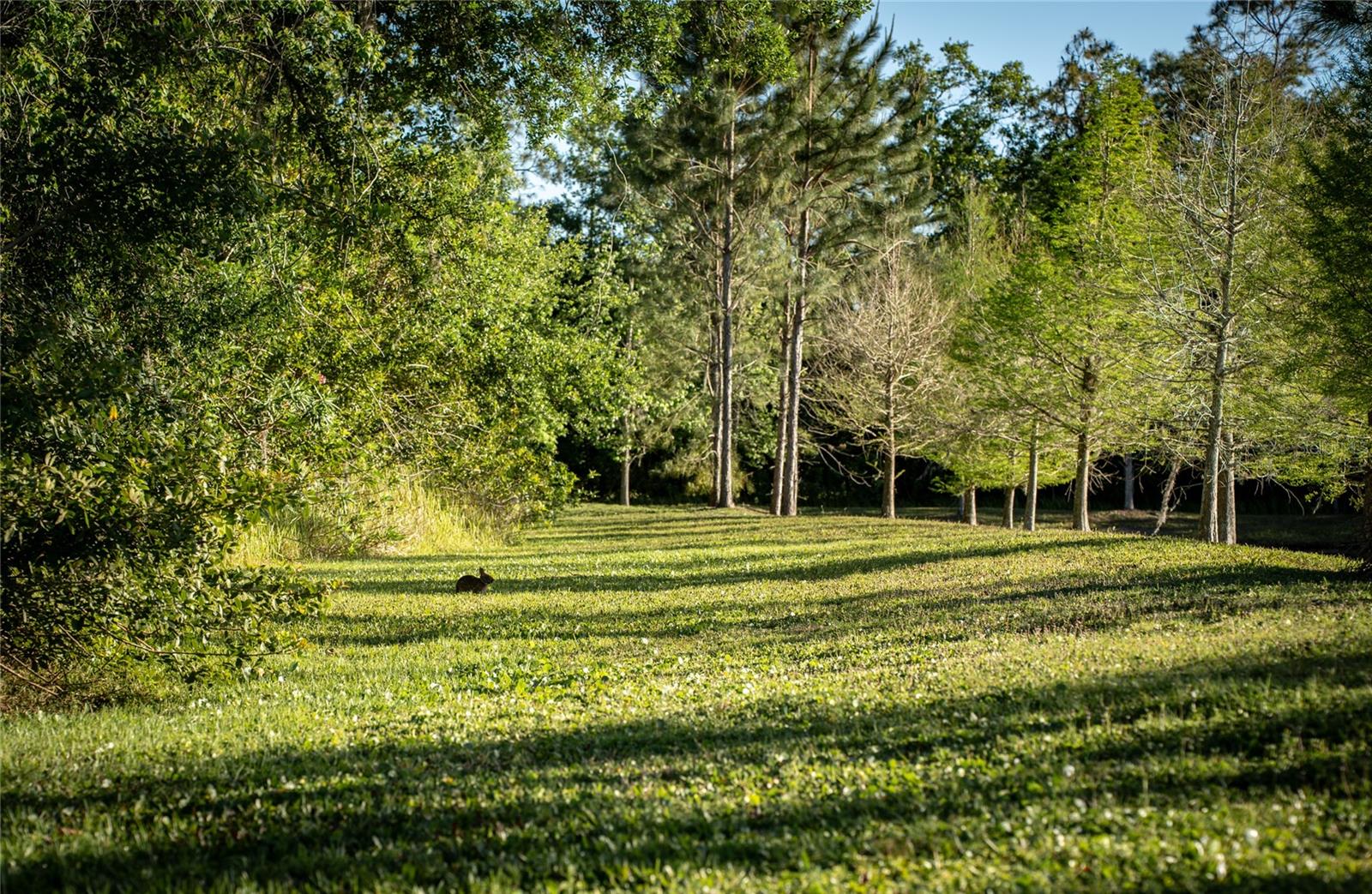 19101 MAGNOLIA FARMS LN, ODESSA, FL, 33556