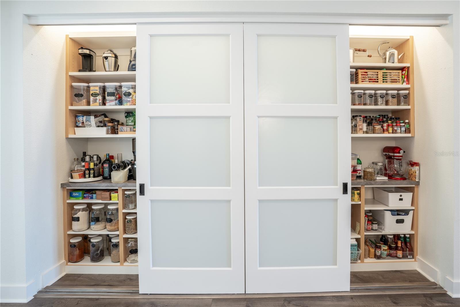 19101 MAGNOLIA FARMS LN, ODESSA, FL, 33556