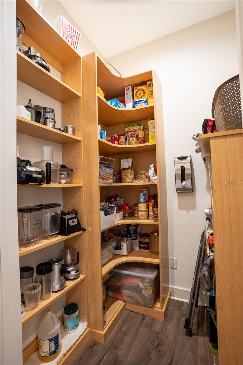 19101 MAGNOLIA FARMS LN, ODESSA, FL, 33556