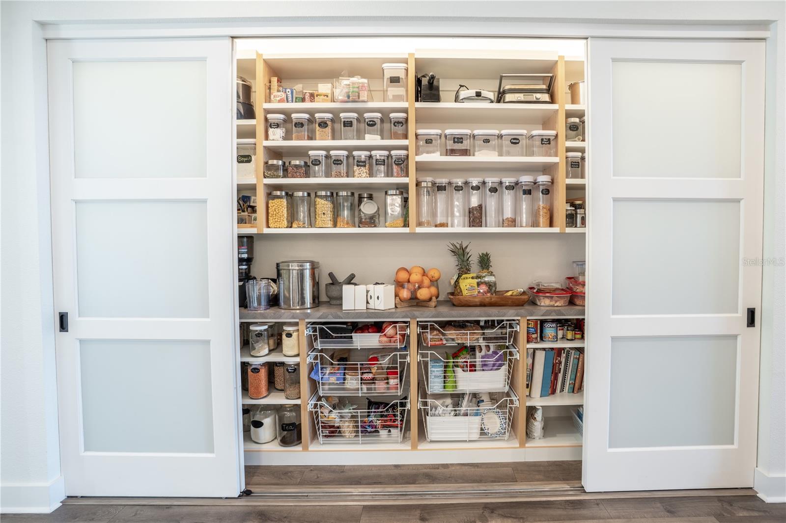 19101 MAGNOLIA FARMS LN, ODESSA, FL, 33556