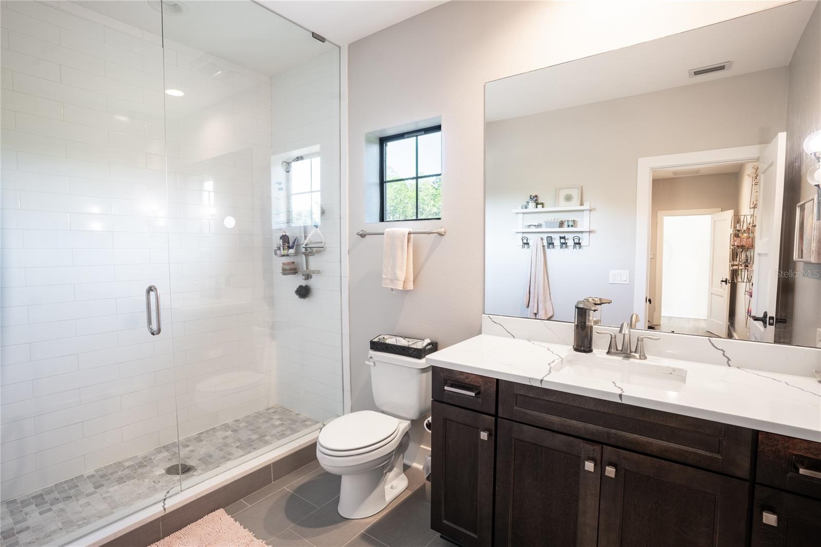 19101 MAGNOLIA FARMS LN, ODESSA, FL, 33556