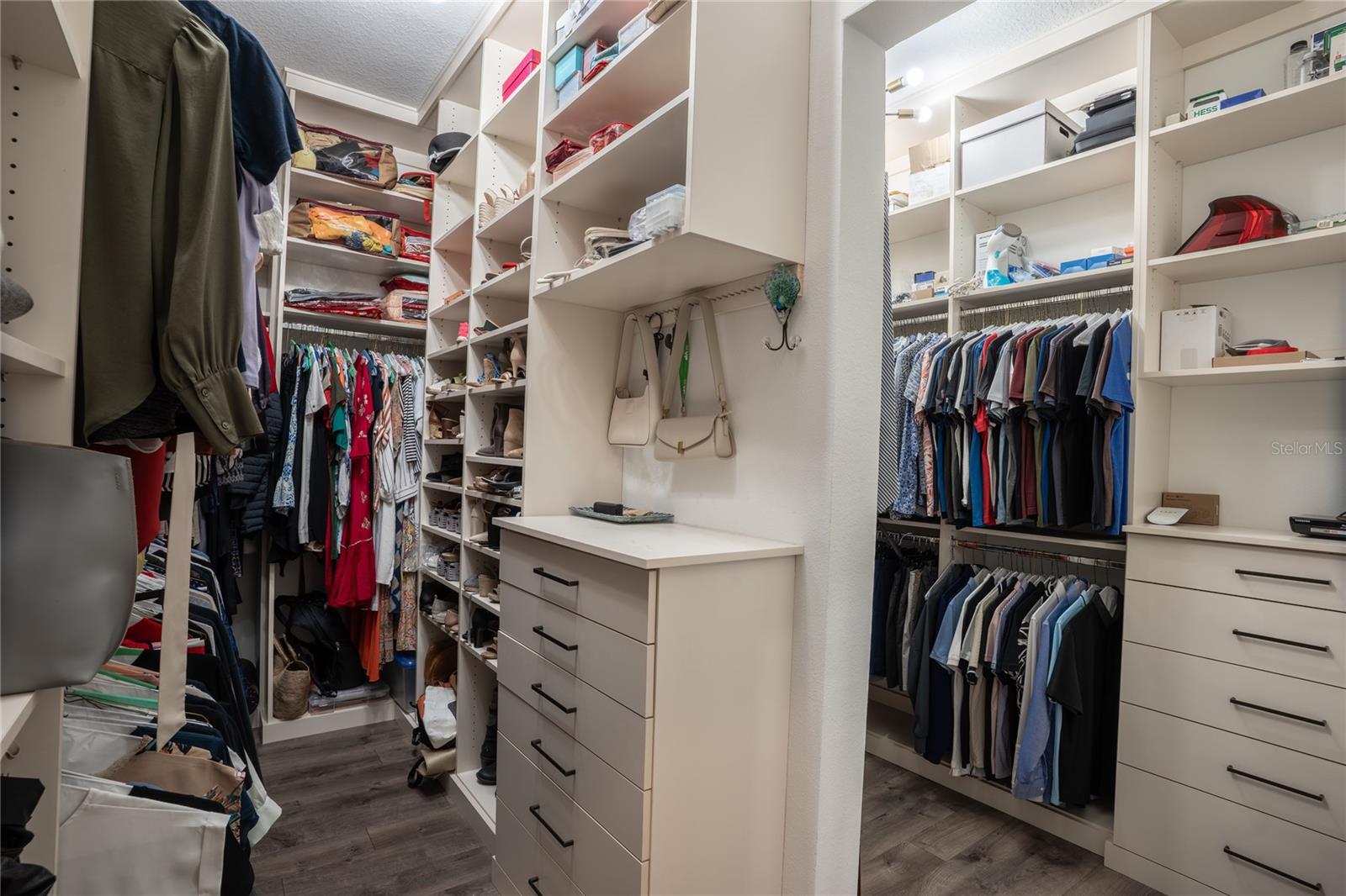 19101 MAGNOLIA FARMS LN, ODESSA, FL, 33556