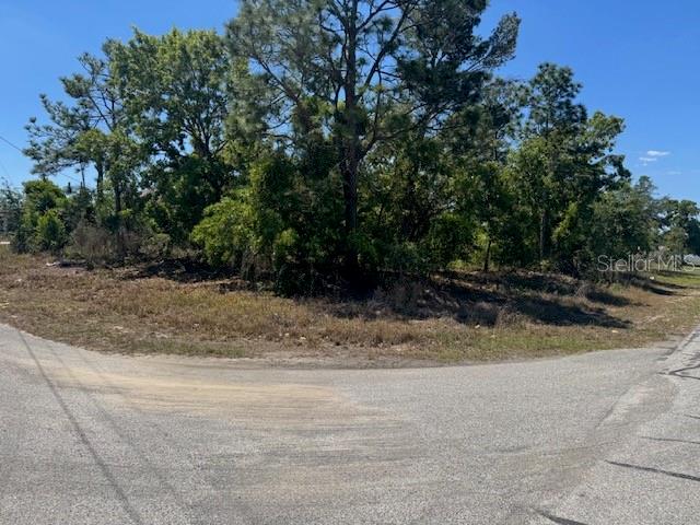 11364 PATCH ST, SPRING HILL, FL, 34609