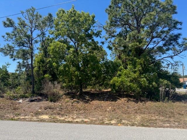 11364 PATCH ST, SPRING HILL, FL, 34609