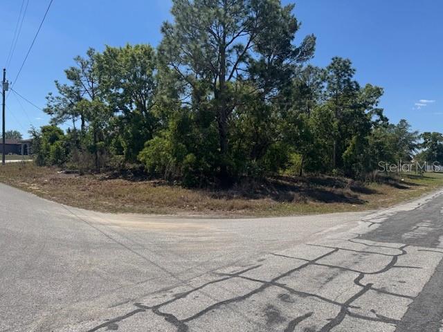 11364 PATCH ST, SPRING HILL, FL, 34609