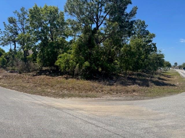 11364 PATCH ST, SPRING HILL, FL, 34609