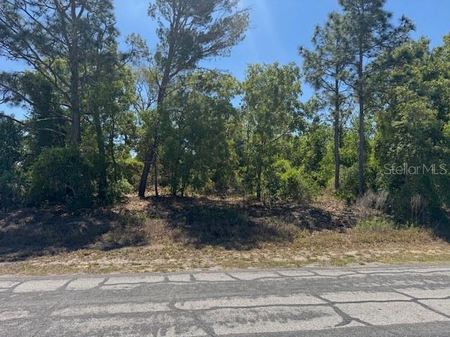 11364 PATCH ST, SPRING HILL, FL, 34609