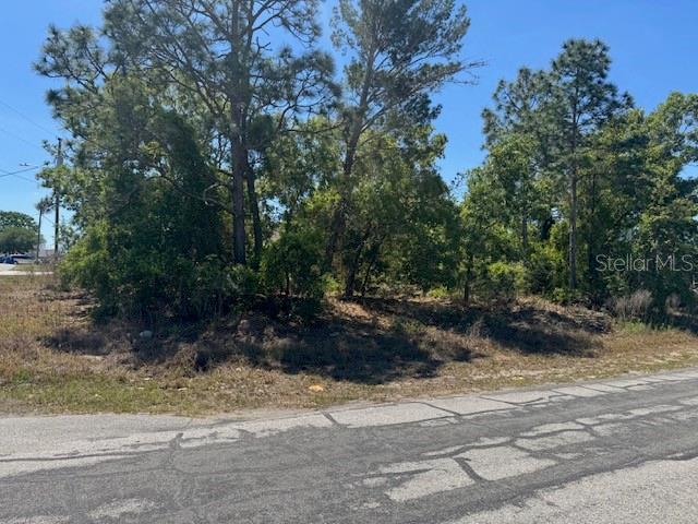 11364 PATCH ST, SPRING HILL, FL, 34609