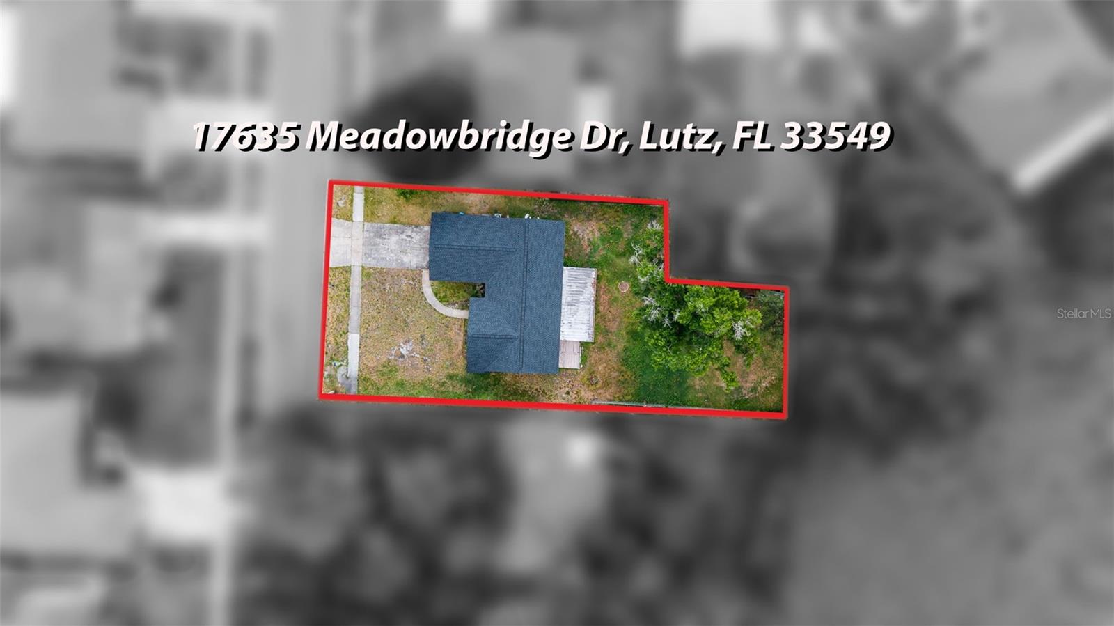 17635 MEADOWBRIDGE DR, LUTZ, FL, 33549