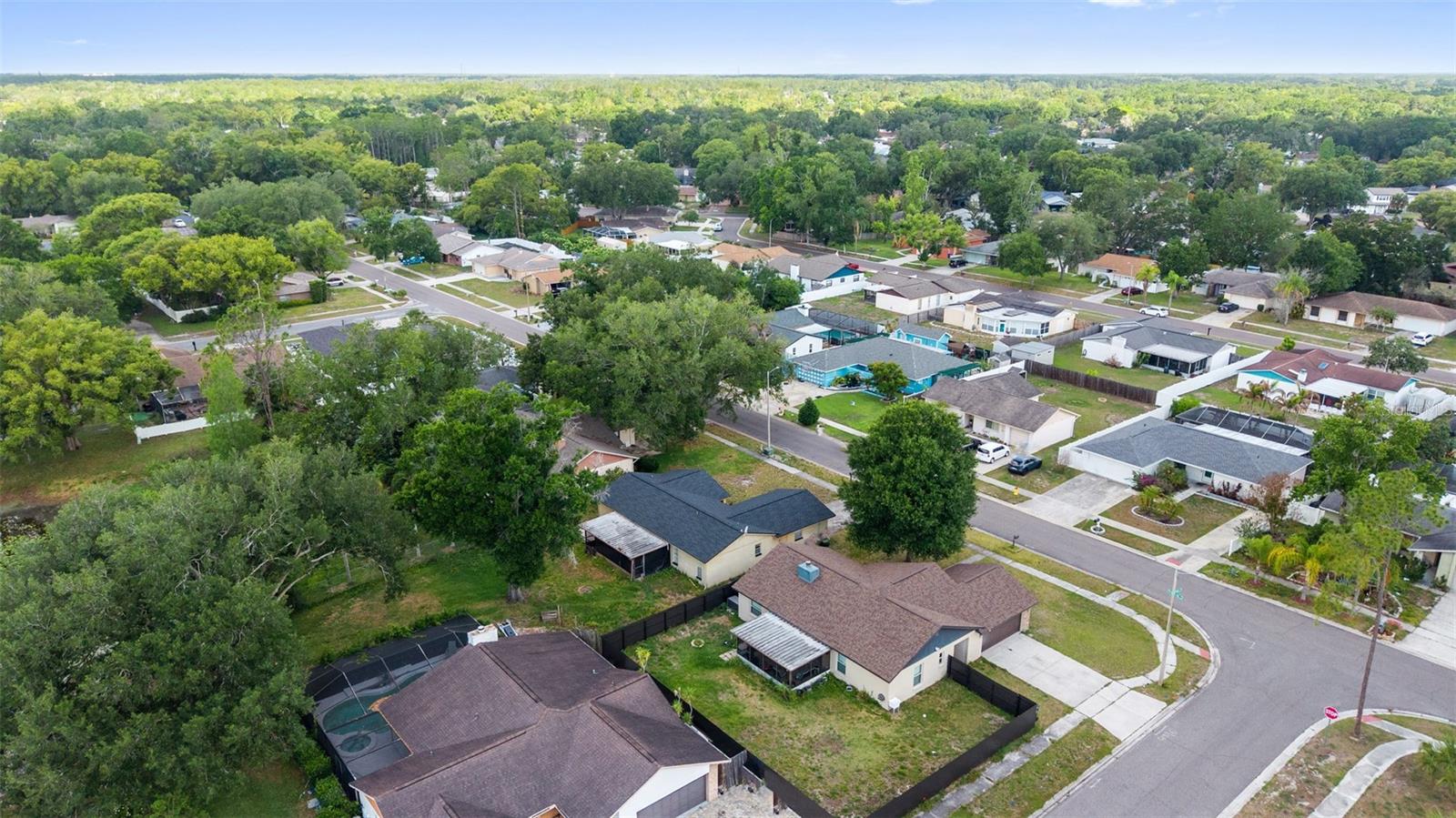 17635 MEADOWBRIDGE DR, LUTZ, FL, 33549