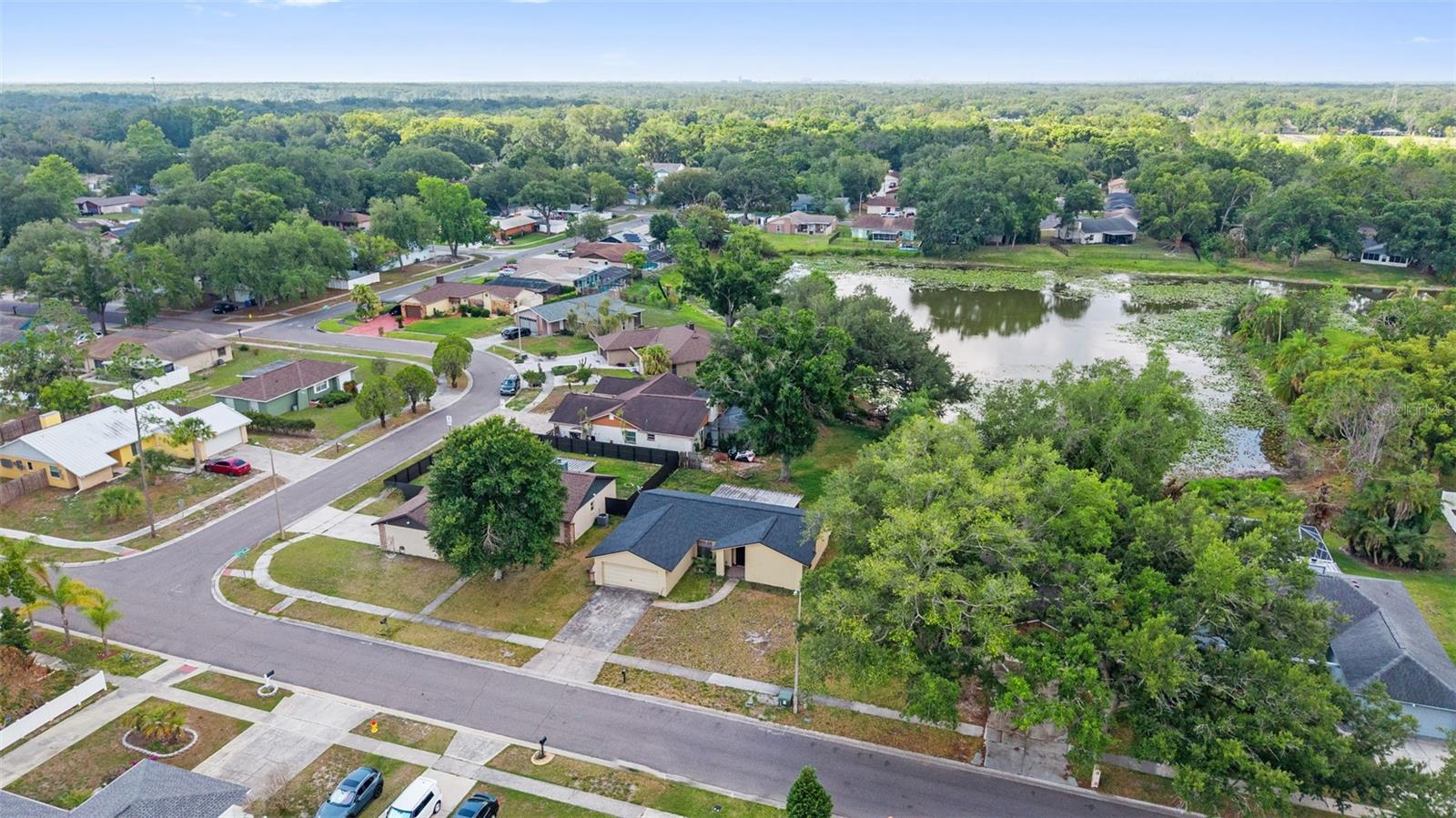 17635 MEADOWBRIDGE DR, LUTZ, FL, 33549