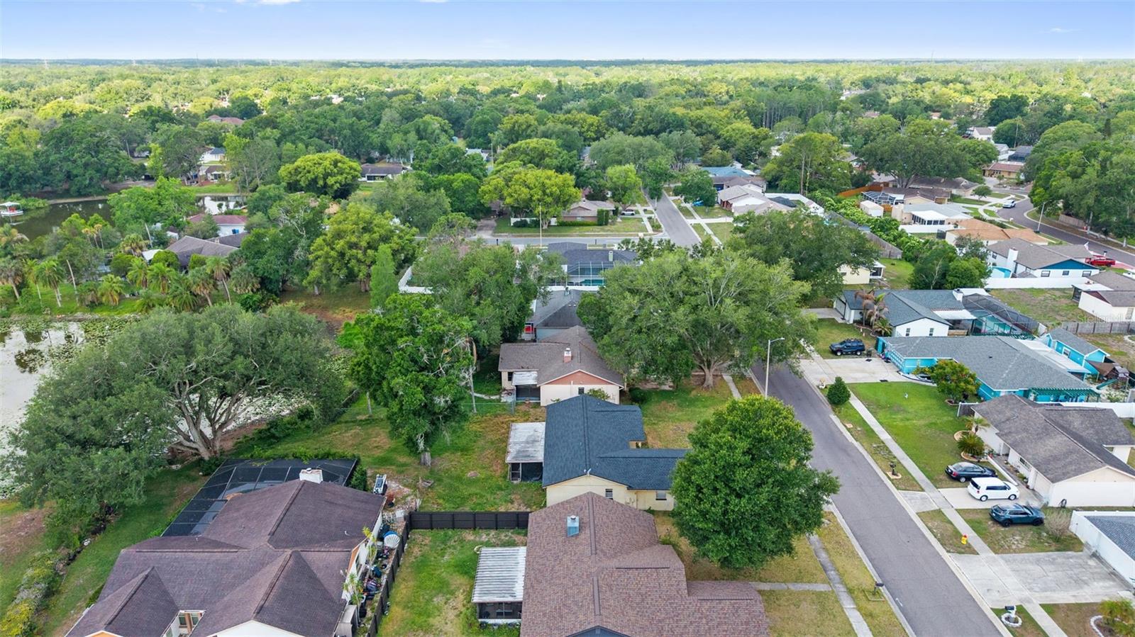17635 MEADOWBRIDGE DR, LUTZ, FL, 33549