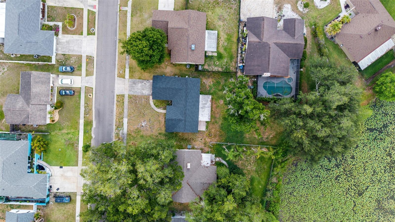 17635 MEADOWBRIDGE DR, LUTZ, FL, 33549
