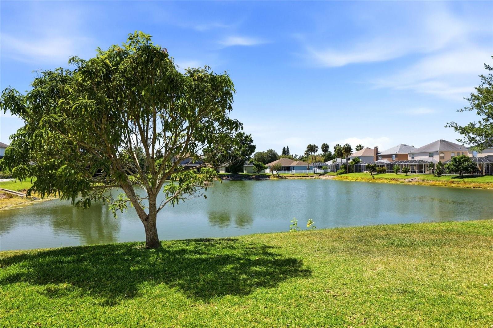 6223 ROCK CREEK CIR, ELLENTON, FL, 34222