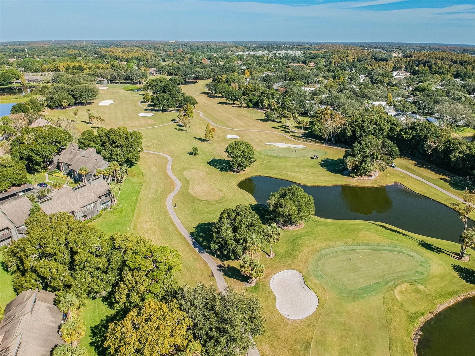 13934 CLUBHOUSE CIR #8, TAMPA, FL, 33618