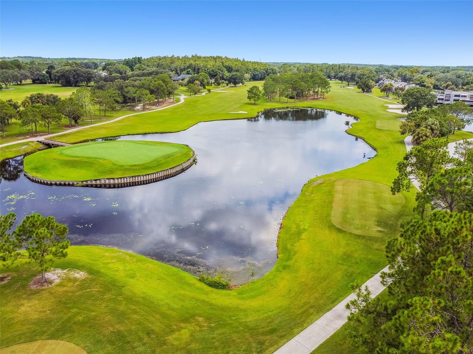 13934 CLUBHOUSE CIR #8, TAMPA, FL, 33618