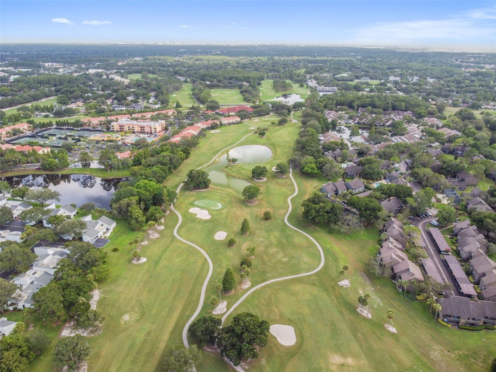 13934 CLUBHOUSE CIR #8, TAMPA, FL, 33618