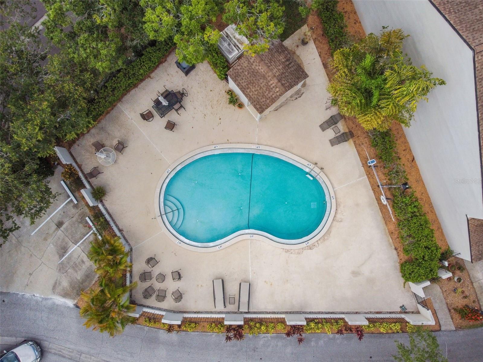 13934 CLUBHOUSE CIR #8, TAMPA, FL, 33618