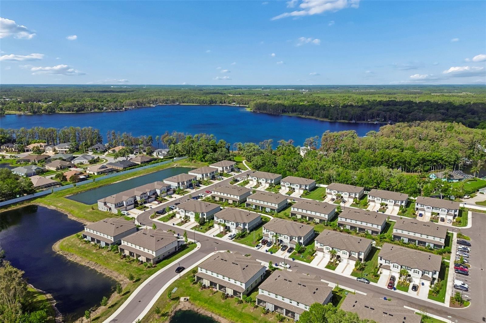 6076 SHINER ST, LAND O LAKES, FL, 34638