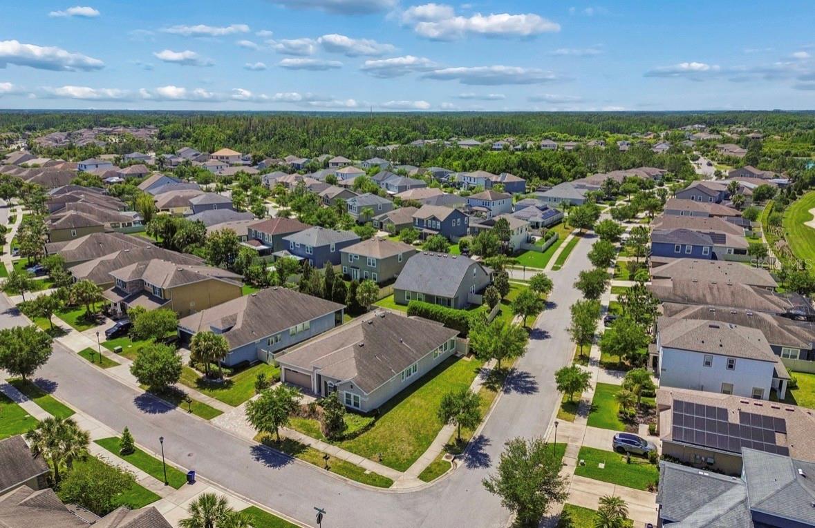 1927 MONTGOMERY BELL RD, WESLEY CHAPEL, FL, 33543