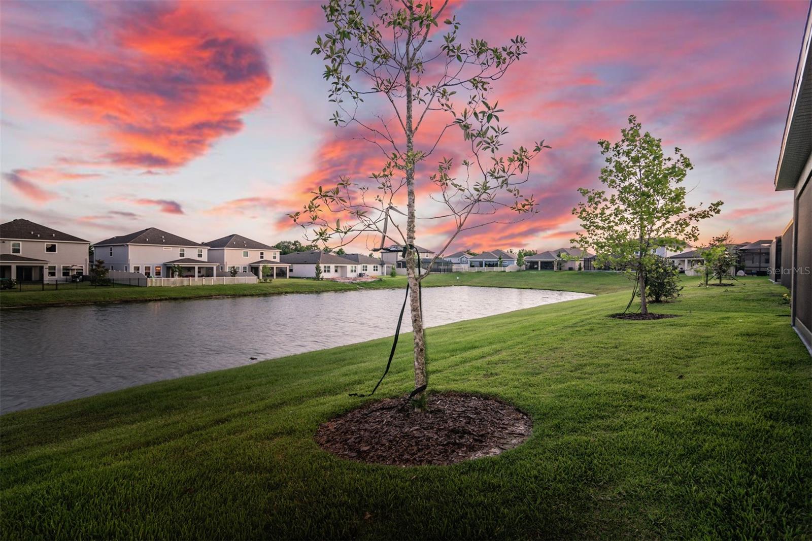 30950 PARROT REEF CT, WESLEY CHAPEL, FL, 33545