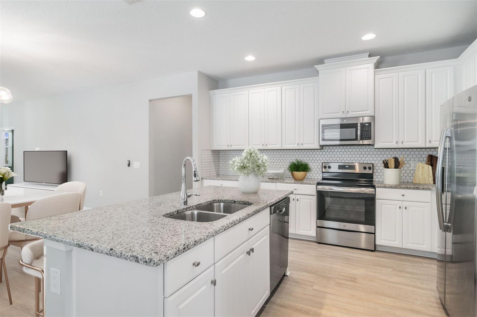 30950 PARROT REEF CT, WESLEY CHAPEL, FL, 33545