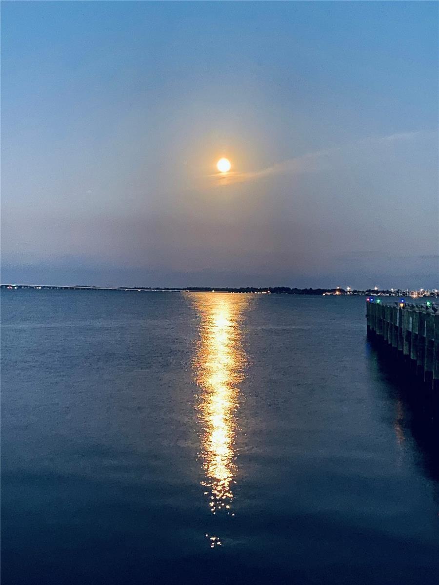 5114 MELBOURNE ST #A105, PUNTA GORDA, FL, 33980