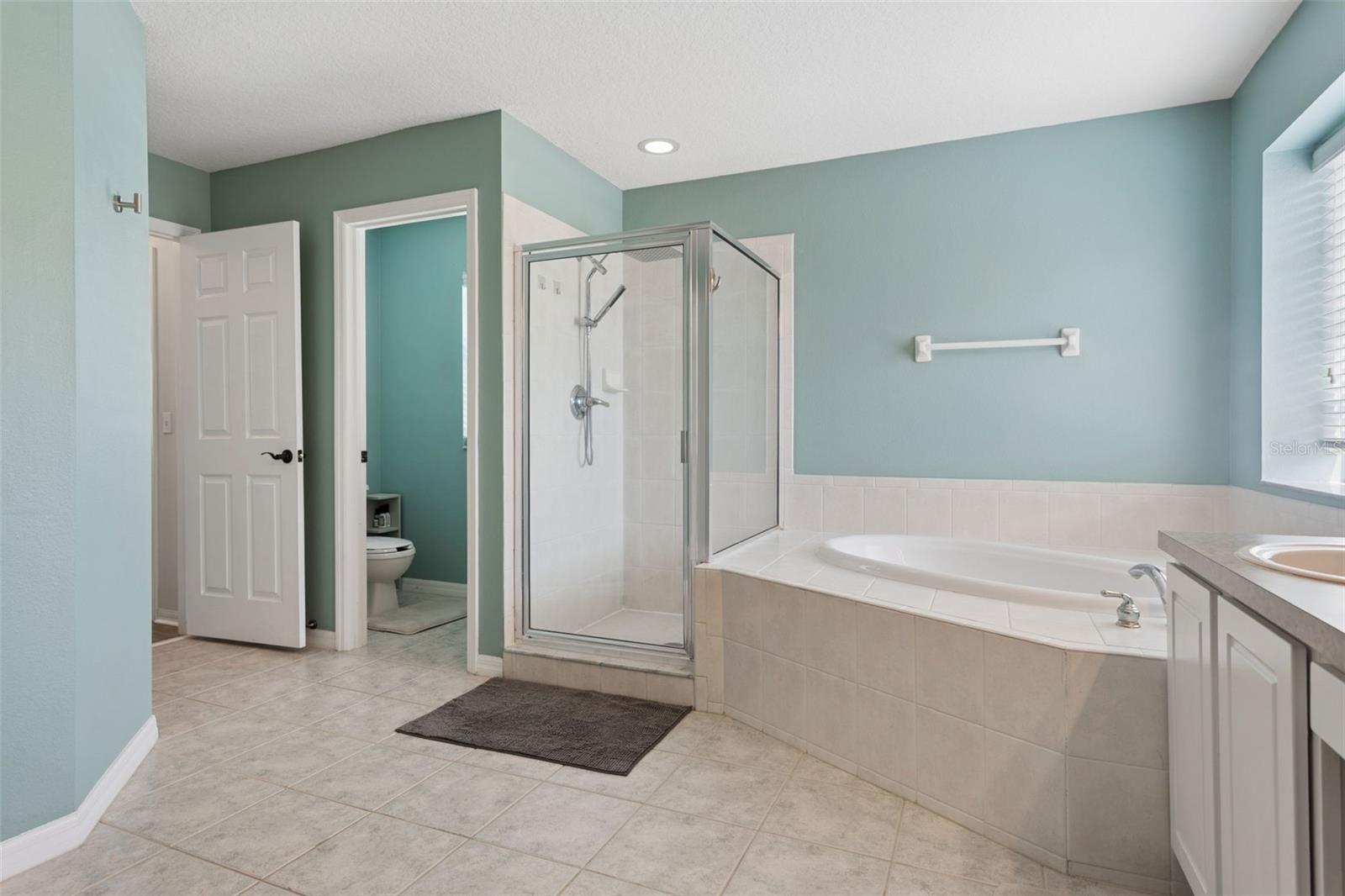 4211 HARBOR LAKE DR, LUTZ, FL, 33558