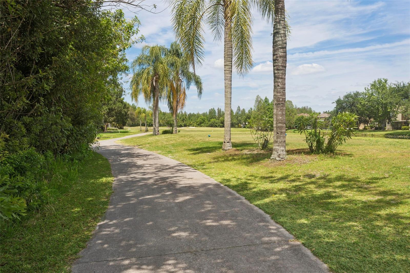 4211 HARBOR LAKE DR, LUTZ, FL, 33558