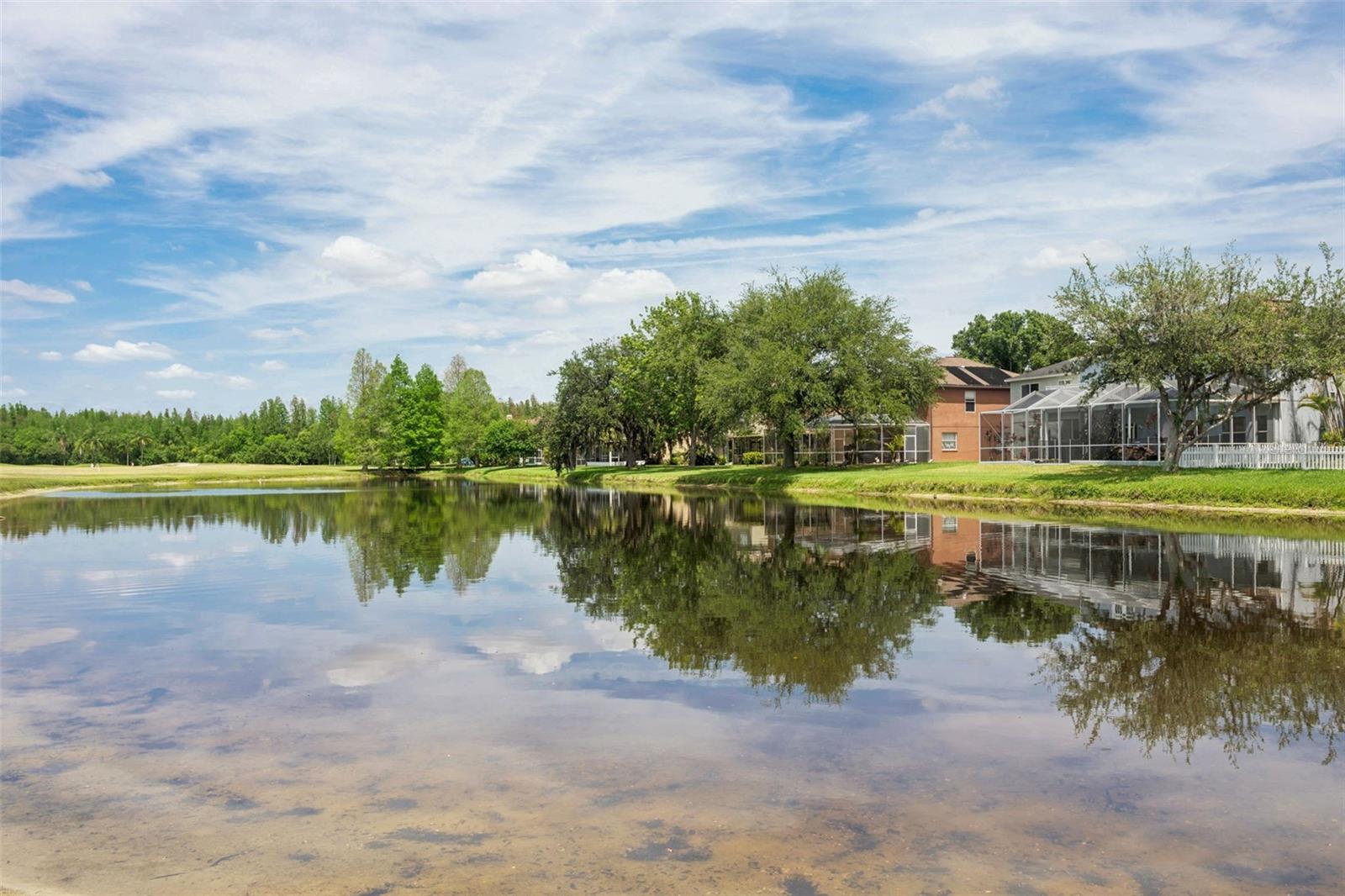 4211 HARBOR LAKE DR, LUTZ, FL, 33558