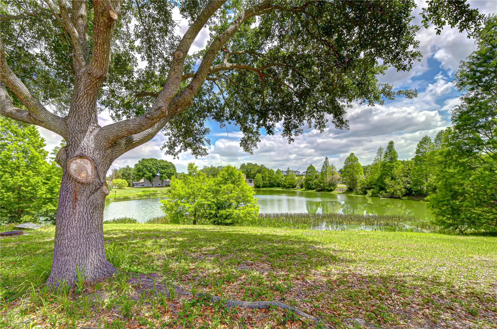 18003 BIRDWATER DR, TAMPA, FL, 33647