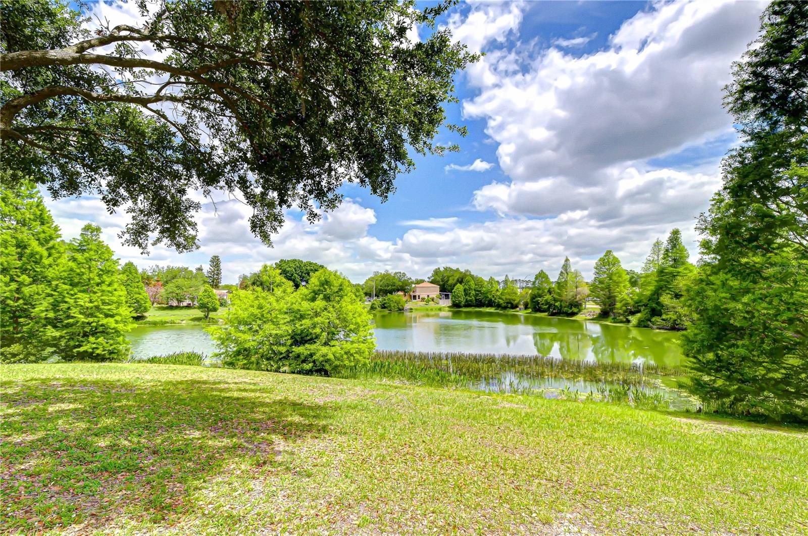 18003 BIRDWATER DR, TAMPA, FL, 33647