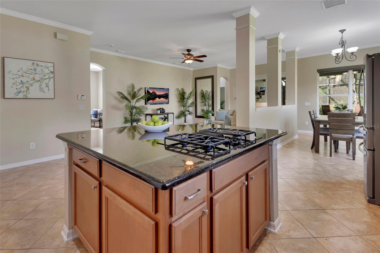 186 BIRCHMONT DR, DELAND, FL, 32724