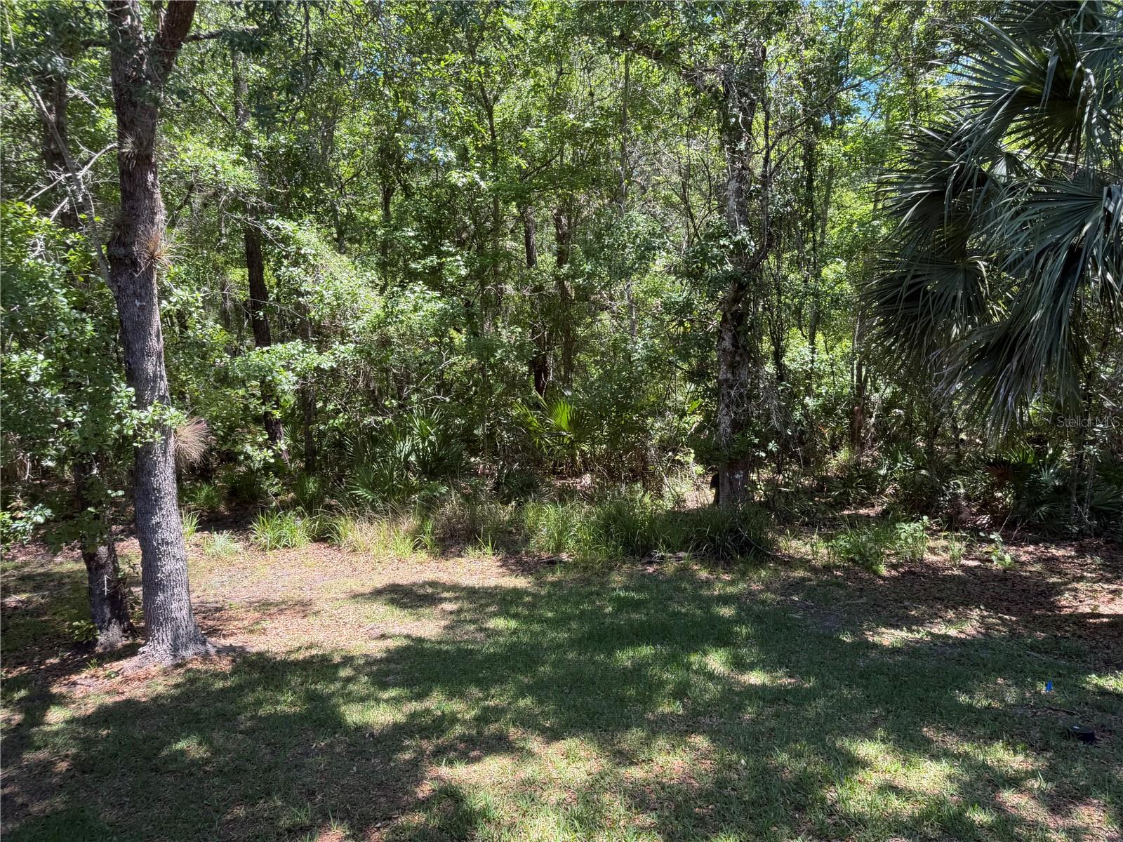 683 EVENING SKY DR, OVIEDO, FL, 32765