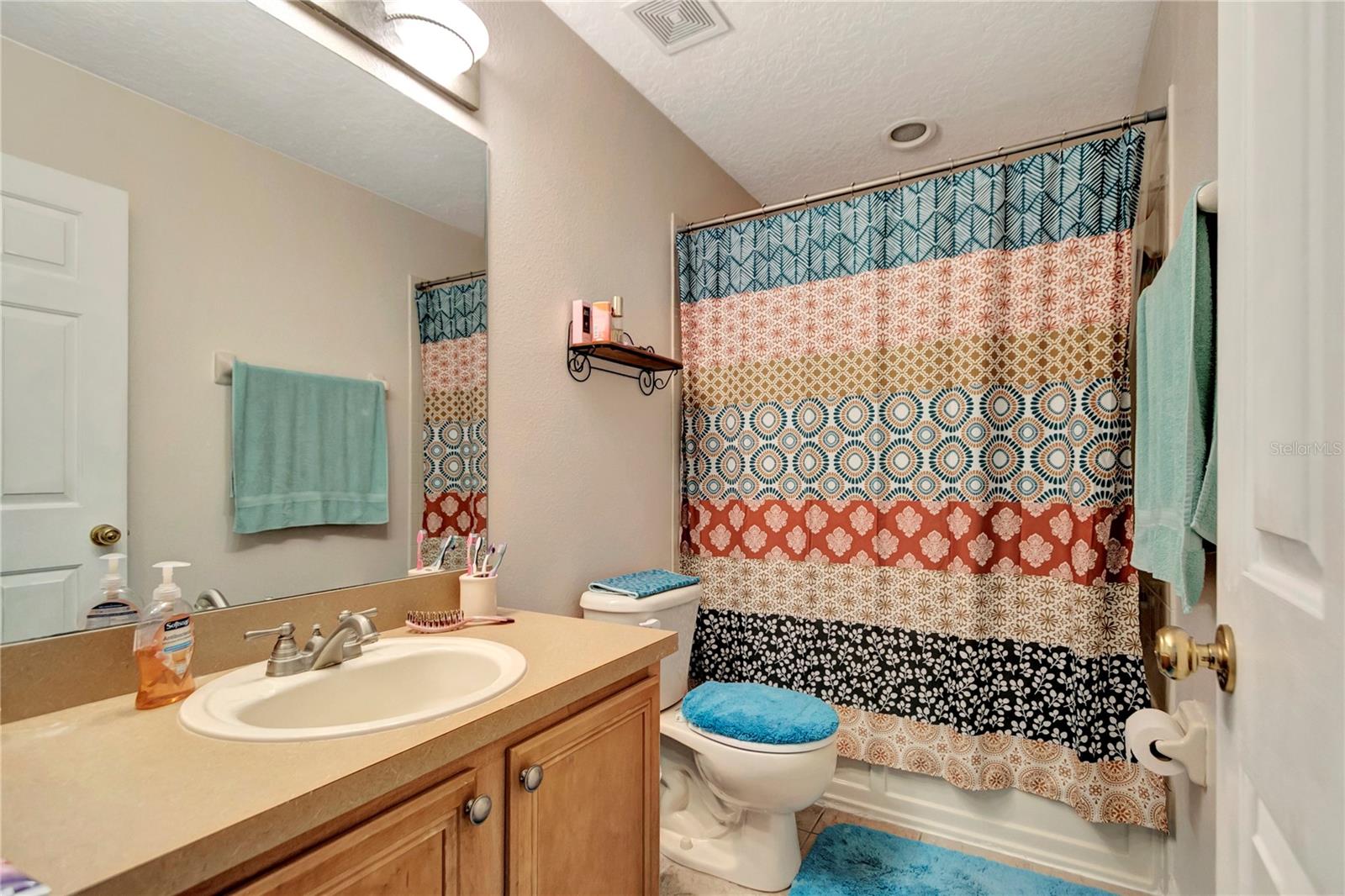 213 DRAW BRIDGE LN, VALRICO, FL, 33594