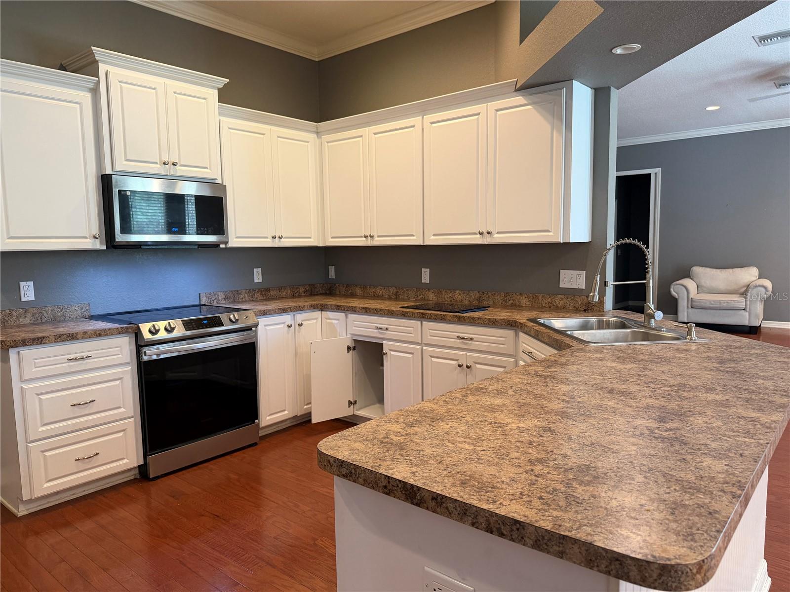 255 BAYBERRY DR, POLK CITY, FL, 33868