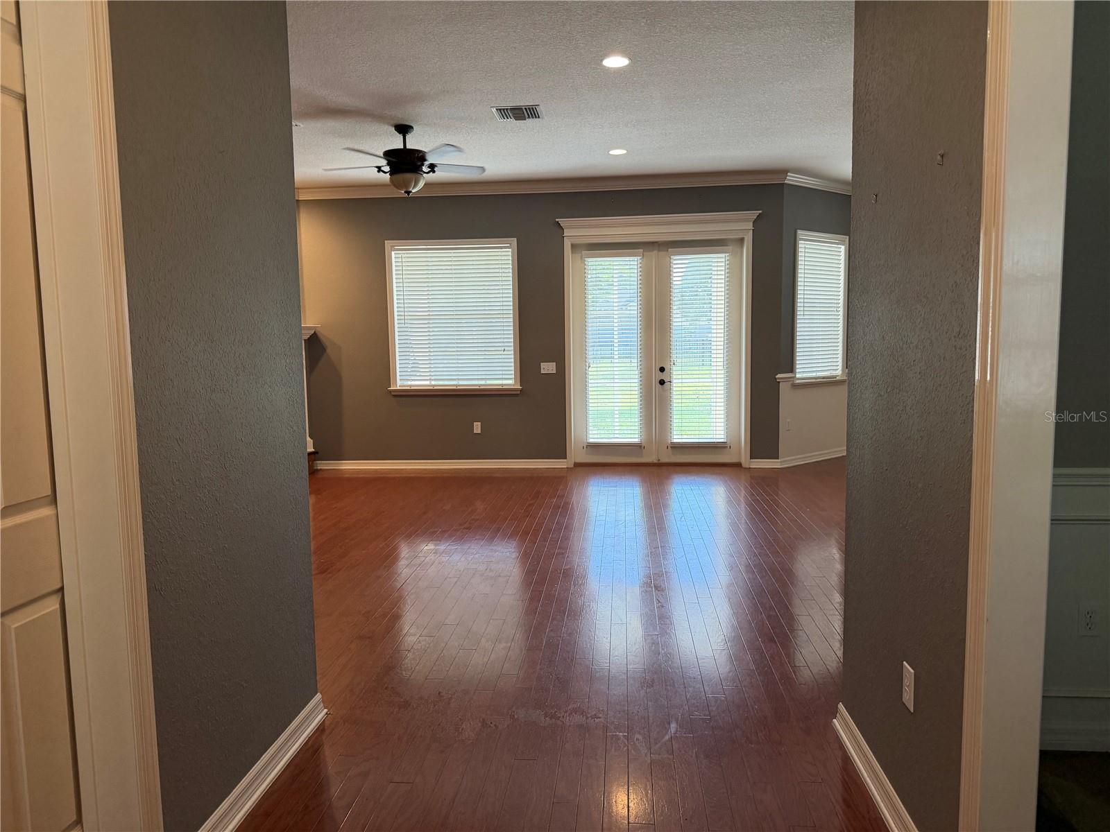 255 BAYBERRY DR, POLK CITY, FL, 33868